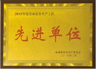 2019年麻城市安全生產(chǎn)委員會授予:”湖北麻城嘉磊石業(yè)有限公司